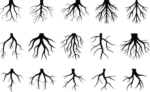 Black Silhouettes of Tree Roots in Grid Layout plant nature