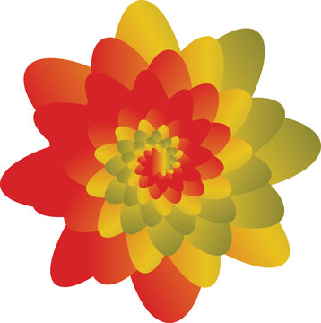 Beautiful flower coloring vector image