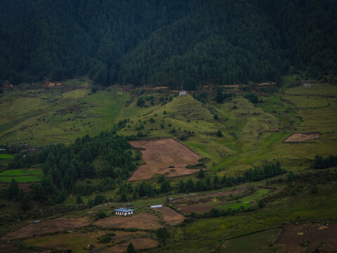Aerial view of the verdant Phobjikha Valley's rolling hills meeting the dense forest, Nubding, Wangdue Phodrang, Bhutan.