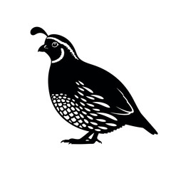 Quail silhouette illustration wildlife bird vector design.