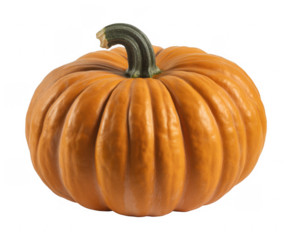 Orange pumpkin with green stem isolated on a transparent background 1