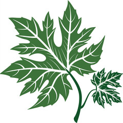 vector set of green leaves