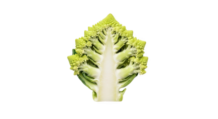 Vertically sliced Romanesco broccoli showing fractal florets and branching symmetry—vibrant green, geometric, and botanically striking