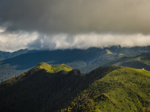Aerial view of undulating green hills and valleys beneath a swathe of low-lying clouds casting shadows, Chele La pass, Paro, Bhutan.