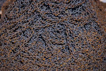 Rusty Heavy Chain Close-Up Texture Background