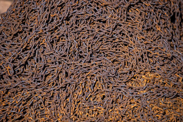 Rusty Heavy Chain Close-Up Texture Background