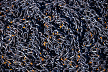 Rusty Heavy Chain Close-Up Texture Background