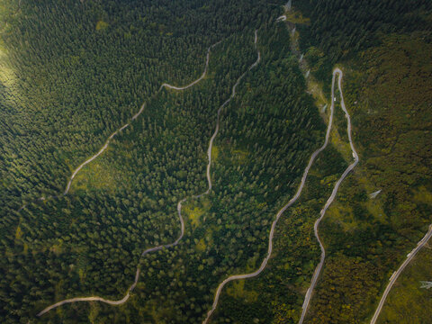 Aerial view of a winding, serpentine road cutting through the dense, verdant forest, a pathway to the Chele La pass, Paro, Paro, Bhutan.