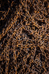 Rusty Heavy Chain Close-Up Texture Background