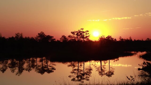 Experience the stunning sunset over Yelnya swamp massif in Belarus, where serene lakes reflect vibrant colors and the lush landscape comes alive with nature's beauty