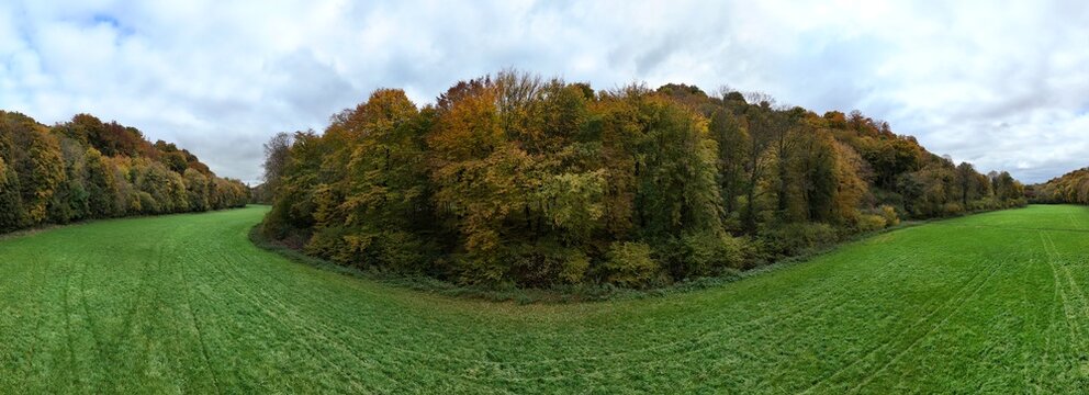paysage d'automne en Lorraine, avec des for&ecirc;ts aux arbres multicolores jaunes oranges et la prairie bien verte.  Courbes et dessins de la nature