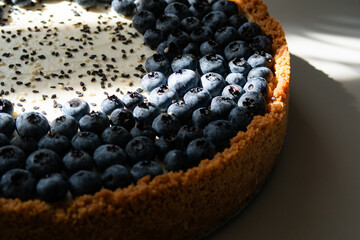 homemade delicious blueberry cheesecake cake