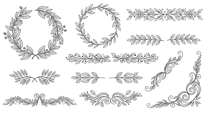 Hand drawn laurel wreath element