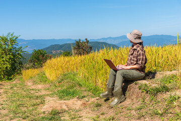 Asian woman farmer wearing rubber boots using a laptop for data analysis in a golden terraced rice field. Smart farming, agricultural business, and modern technology concept.