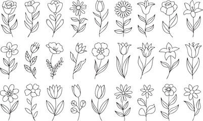 Collection of hand drawn black and white floral illustrations with various flower types and leaves