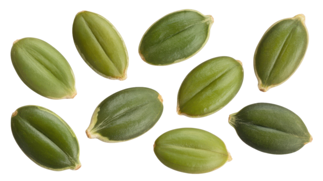 Eight green pumpkin seeds scattered on a transparent background isolated on transparent background