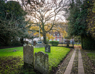 View from St Mary's church, Selborne, Hampshire, showing the graveyard and cottages opposite.