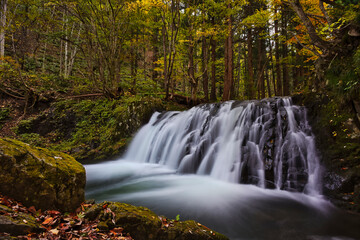 Obraz premium Wide Powerful Cascade and Autumn Foliage in Deep Forest, Minamiaizu, Fukushima, Japan.