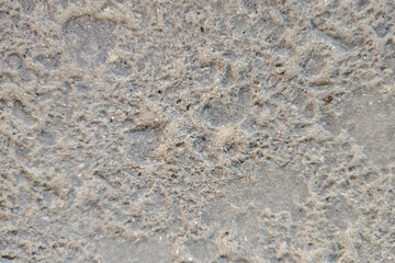 Rough Gray Concrete Texture with Pitted Surface image