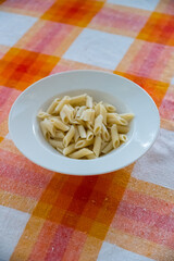 Plain Cooked Penne Pasta in a White Bowl