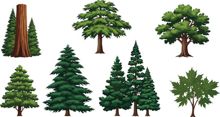 Fototapeta premium Cartoon tree collection, forest species illustration, coniferous and deciduous types, educational botany chart, nature diversity, kids science, foliage reference