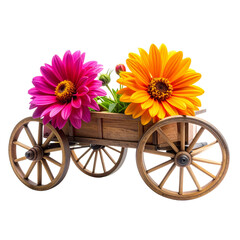 Wagon Flowers Isolated