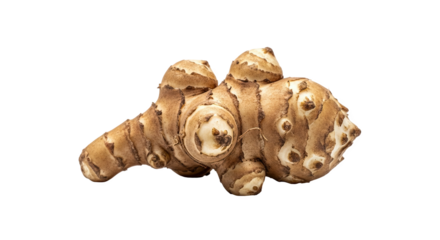 Single Jerusalem artichoke with knobby, irregular shape, light brown skin, and visible white flesh—textured root vegetable, nutritious and rich in inulin
