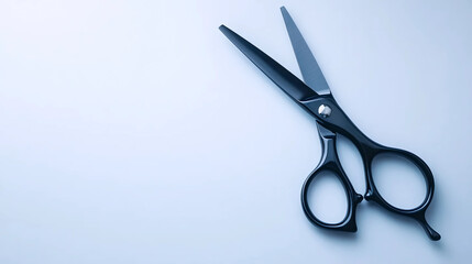 Sleek Haircut Shears