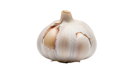 Single garlic bulb with partially peeled papery skin, revealing tightly packed cloves—intact, fresh, and ideal for culinary or botanical reference