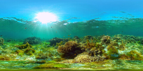 Coral garden seascape and underwater world. Colorful tropical coral reefs. Life coral reef. Philippines. 360 panorama VR