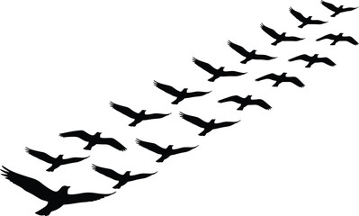 Flock of flying black bird silhouettes arranged diagonally, representing freedom, migration, motion, and abstract nature background.