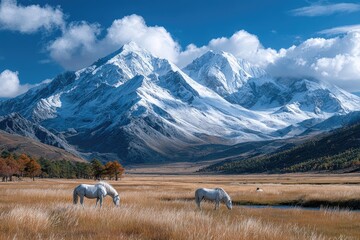 a wide view of the winter grasslands in xizang, china with snow-capped mountains and several horses grazing on it under clear blue skies