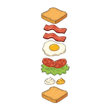 Deconstructed Sandwich Ingredients Infographic. Hand Drawn Bacon, Egg, Tomato, and Toast Vector Illustration.eps