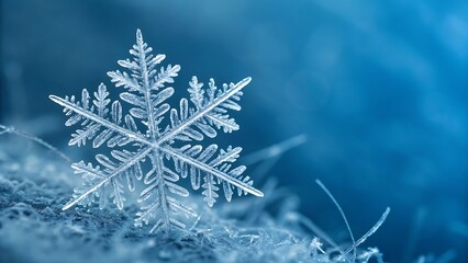 Intricate snowflake macro photography with soft blue background