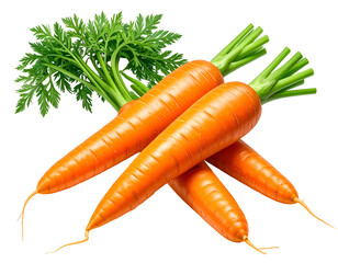 Vibrant orange root vegetables with green leafy tops