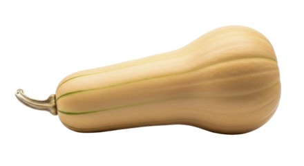  Fresh whole butternut squash on a transparent background PNG image PNG file