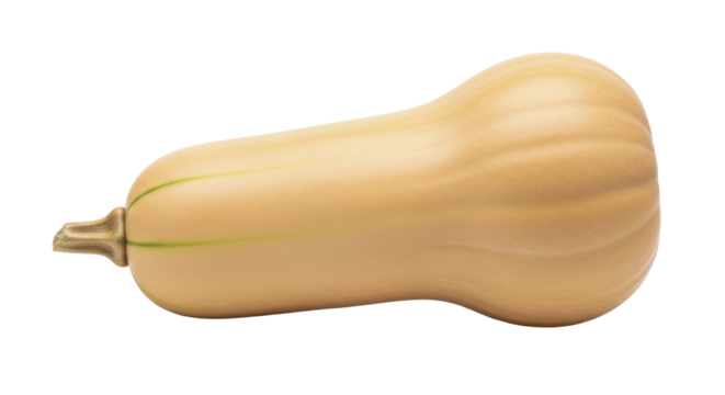 Whole butternut squash on a transparent background PNG image, fresh orange winter squash vegetable, PNG file