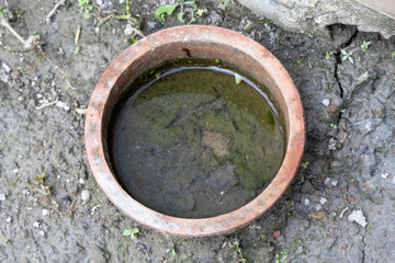 Close-up of a small, dirty terracotta pot filled with stagnant, mossy water on muddy ground. A...