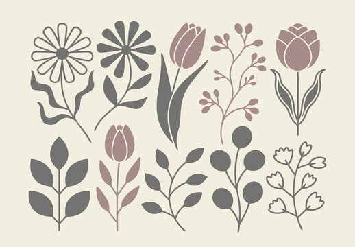Floral Botanical Illustration Set