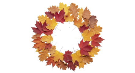 Maple and oak autumn leaves arranged in a circular wreath on a transparent background, PNG image, PNG file