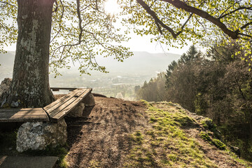Umlaufende Aussichtsbank aus Holz an Laubbaum am Calverb&uuml;hl bei Dettingen an der Erms mit Ausblick auf Landschaft schw&auml;bische Alb mit Ermstal im Dunst 