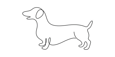 Dachshund dog continuous one line drawing minimalist style vector illustration