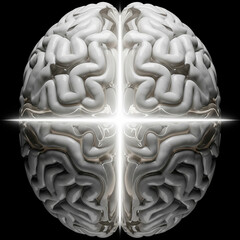 Top-Down Symmetrical Brain Synchronization