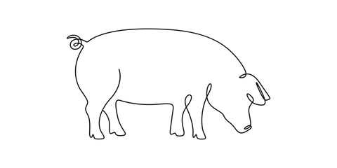 Pig continuous one line drawing minimalist style vector illustration