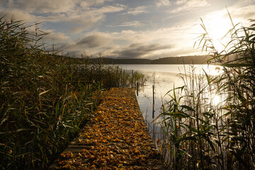 Wutz Lake close to Lindow, Brandenburg, Germany