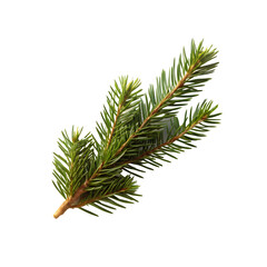 Obraz premium small piece of pine garland isolated on white background, minimal Christmas greenery, soft natural shadow, simple foliage element 