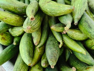 Close u shot of pile of fresh Luffa open sell in Indian market.