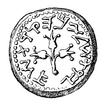 Jewish silver shekel of Simon Maccabeus, 143 BC coin reverse, old vintage illustration, 1899