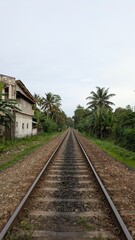 Fototapeta premium Peaceful tropical railway journey through remote Sri Lanka countryside, empty rail track passage surrounded by lush jungle vegetation, overgrown pathway, palm greenery and quiet sustainable