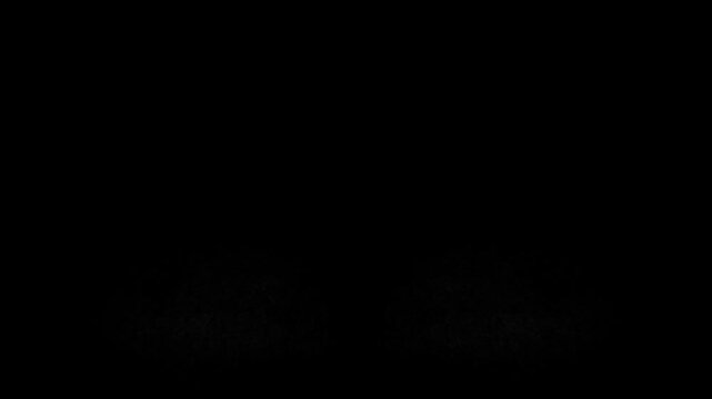 Film leaders overlay with burned celluloid look, cracked vintage damage, cinematic motion flow, and high-end  transition detail.